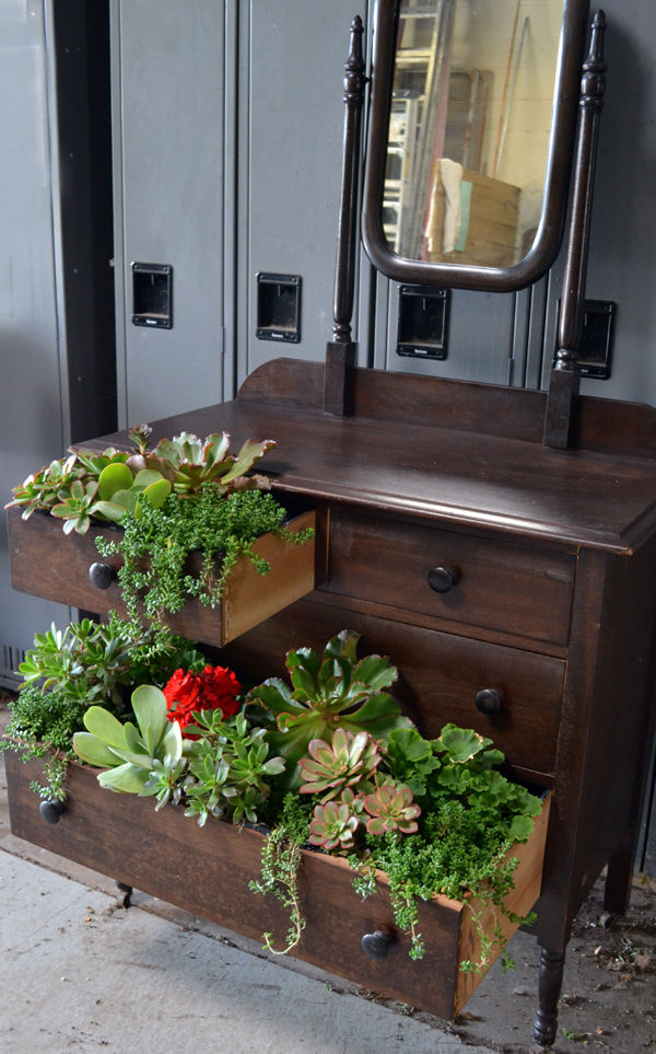 Landscape Buffalo Ny